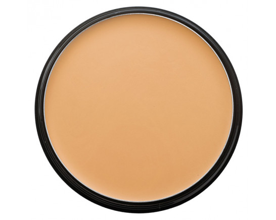 LITE GOLDEN - PARAMEDICAL KAMAFLAGE FOUNDATION 10G MAKEMEUP LITE GOLDEN - PARAMEDICAL KAMAFLAGE FOUNDATION 10G MAKEMEUP